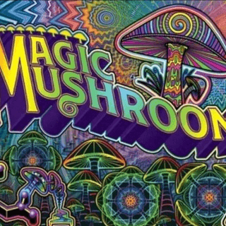 Magic Mushrooms 🍄🍄