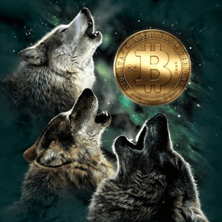 Wolves Of Crypto Gems🚀📈