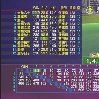 馬仔資料+討論組