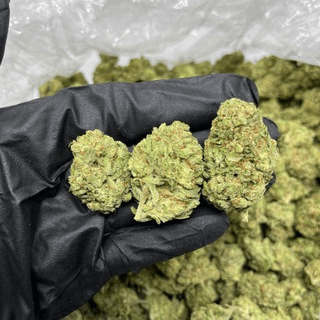 Telegram Group Picture