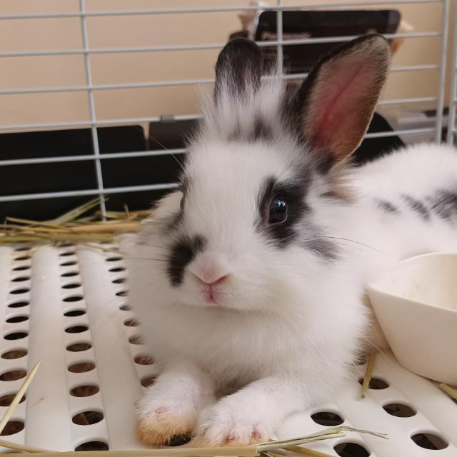 朋友群組👋