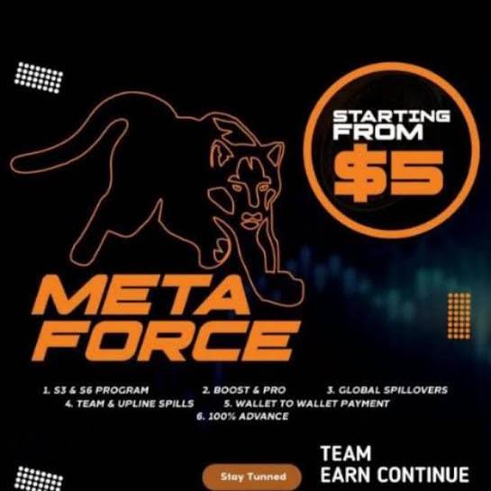 Meta Force Earning 💲💵🤑