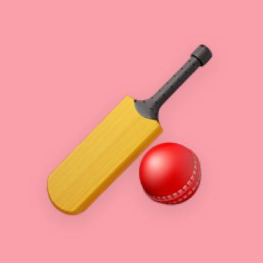 BoA u11 Cricket 2024