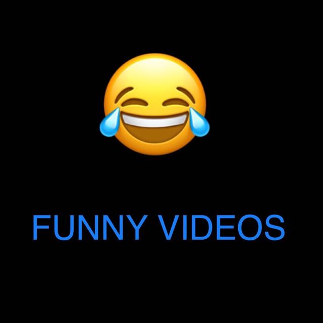 Funny videos 