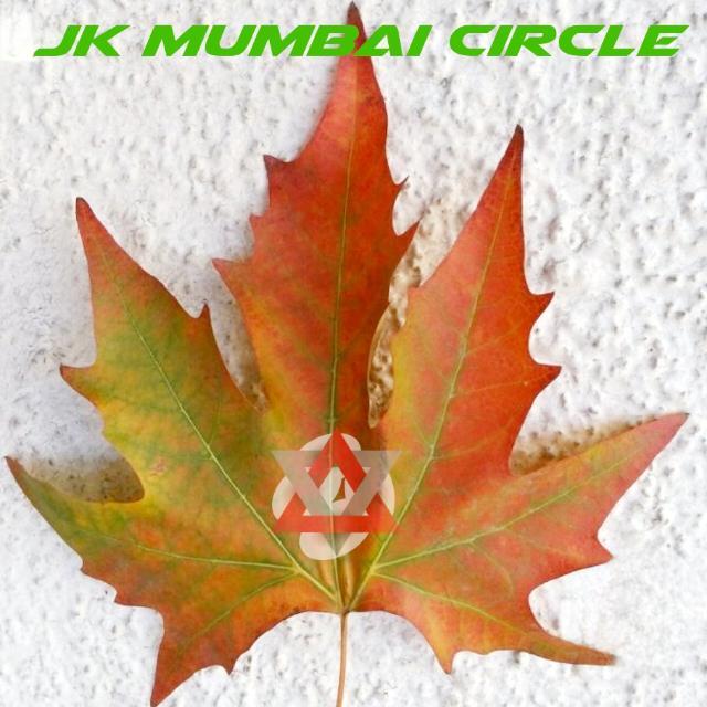 JK - Bombay Circle™